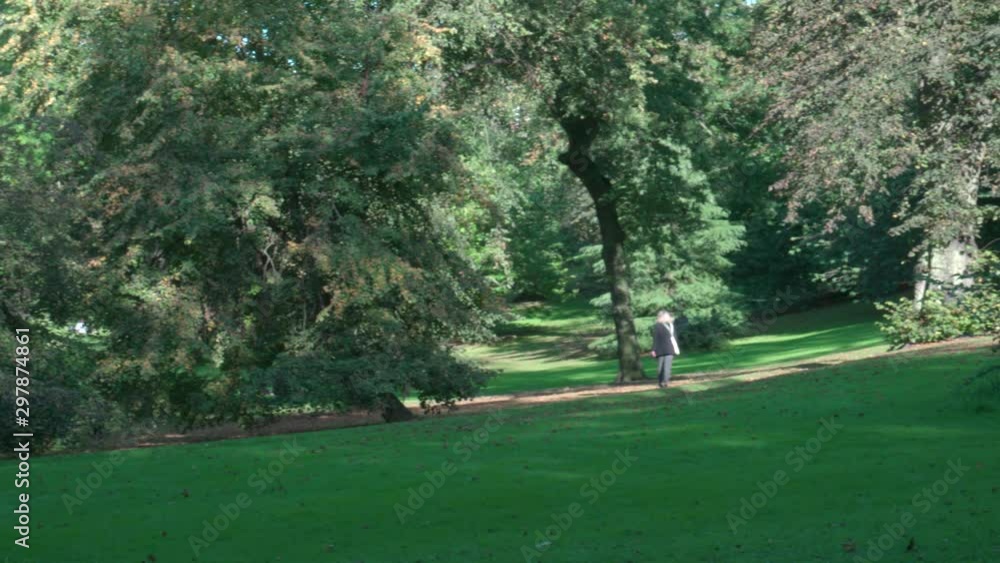 Pan Right Showing a Woman Walking Along a Scenic Shaded Woodland Path Pan Right Showing a Woman Walking Along a Scenic Shaded Woodland Path