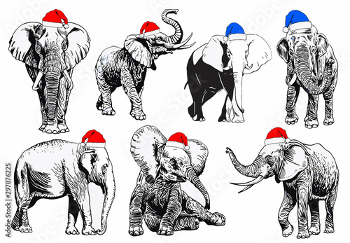 Graphical set of elephants in Santa Claus hats isolated on white background,vector new year illustration