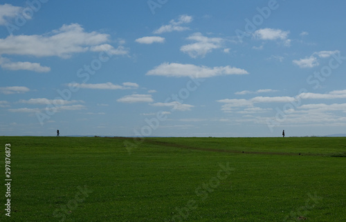 Silhouette of two people walking away from each other in a grassy field with blue sky and clouds