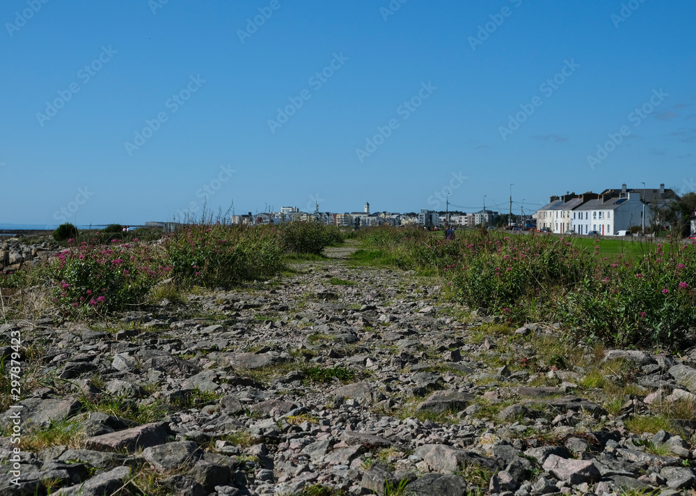 Dirt coastal track towards Salthill village near Galway, Ireland on a sunny day in summer with rocks, grass, houses and wild flowers