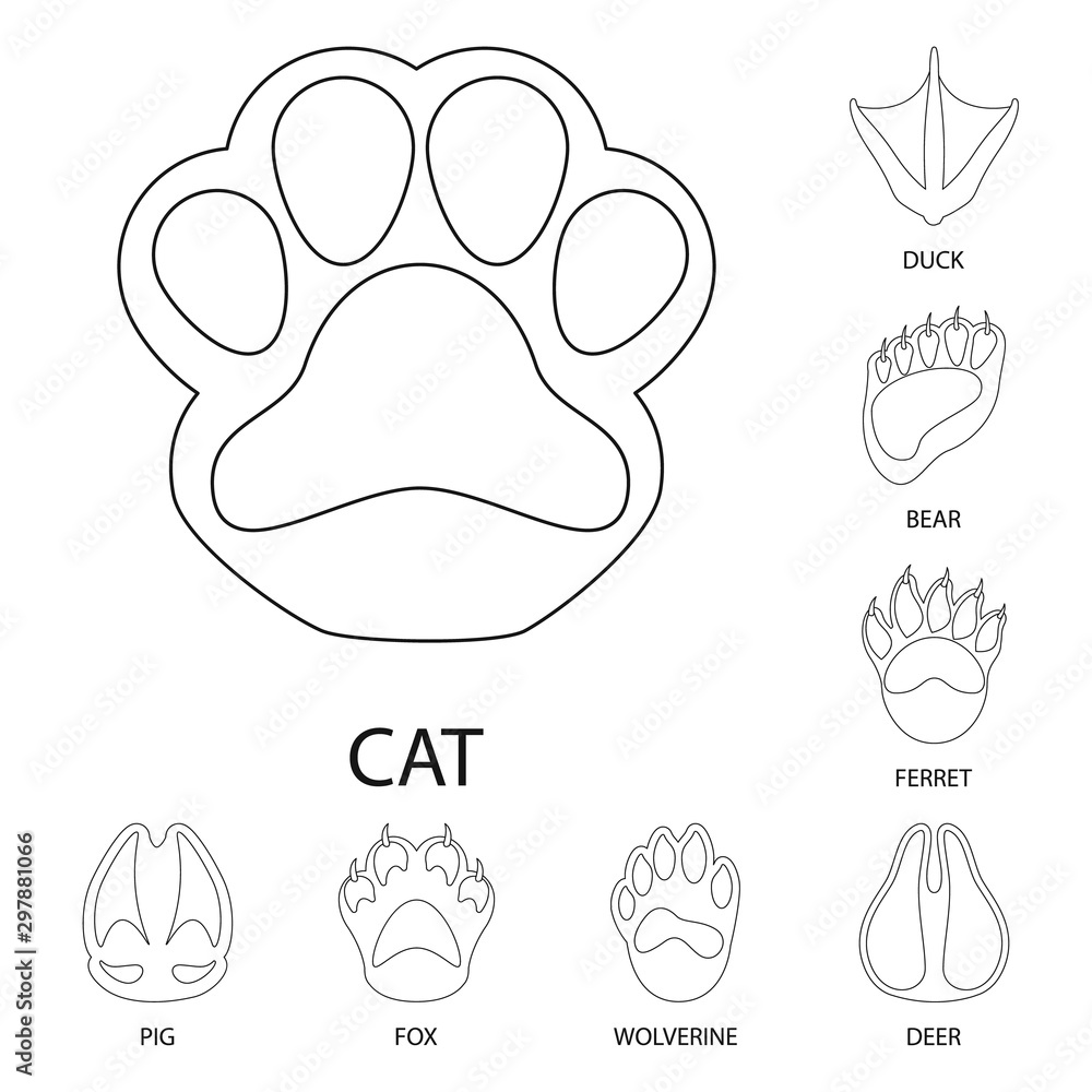 Vector illustration of foot and footprint symbol. Set of foot and trace vector icon for stock. Vector illustration of foot and footprint symbol. Set of foot and trace vector icon for stock.