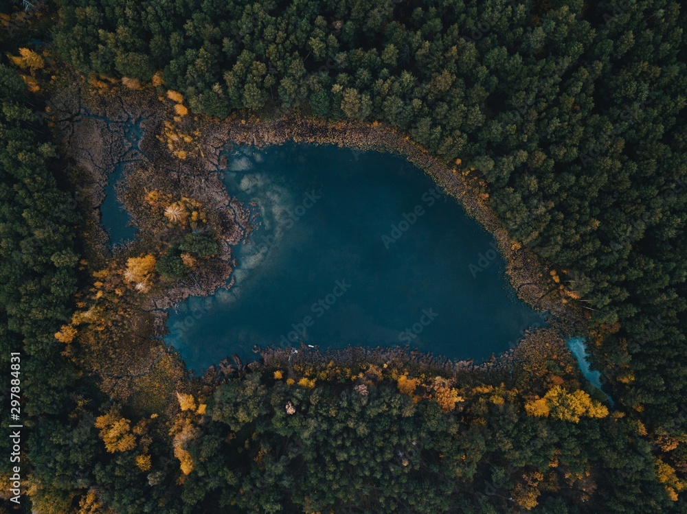 Aerial shot of lake surrounded by forest autumn trees Aerial shot of lake surrounded by forest autumn trees