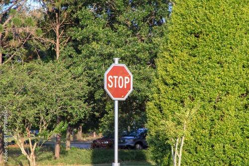 Signage board, sign, STOP, in the background a forest, United States of America. photo