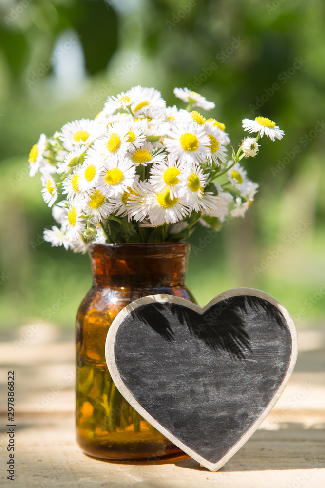 Obraz premium Heart shaped sign with space for greeting text, natural outdoors background