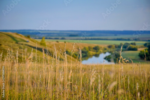 Wild field near the Don river at summer evening