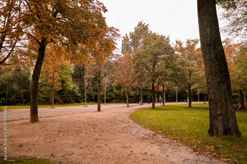 Naklejka premium Autumn in the park with trees and path