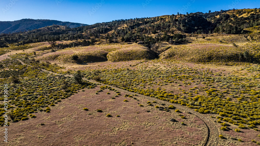 Aerial view of the hills along California Highway 138 near Quail Lake with mauve heather and yellow sagebrush on an Autumn day