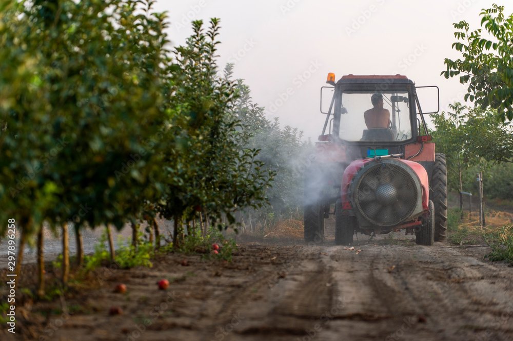 Fototapeta premium Spraying trees in fruit orchard against deceases