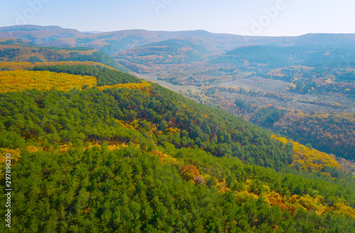 Autumn forest aerial drone view. Green, orange and red colors.