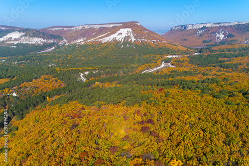 Autumn forest aerial drone view. Green, orange and red colors.