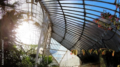 Beautiful Belfast Botanical Garden Palm House