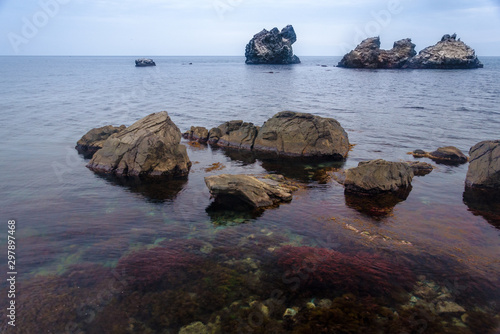 Landscape with coastal cliffs and algae