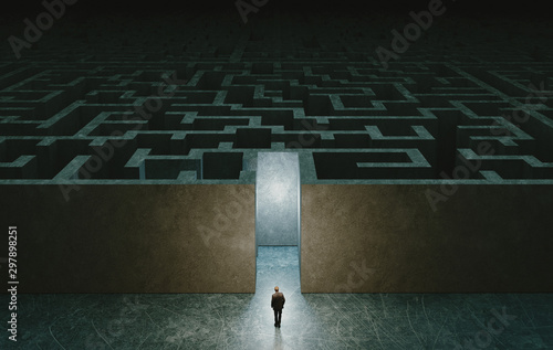 Businessman standing in fro...