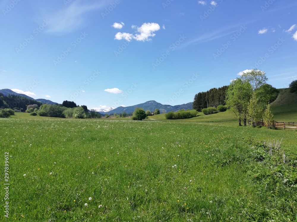 Fototapeta premium Steiermark