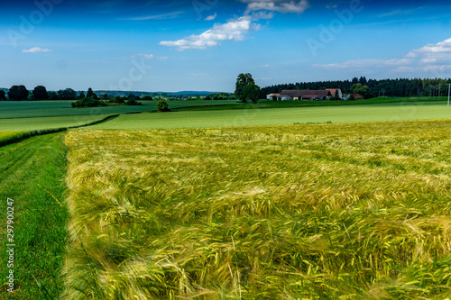 Felder Lusthof photo