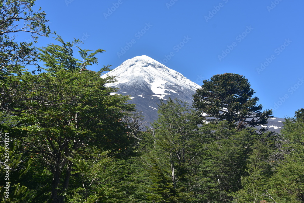 Lanin Volcano, Villarrica national park, Chile Lanin Volcano, Villarrica national park, Chile