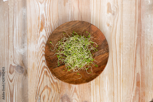 Red Clover Sprouts, Micro Green Healthy Eating Concept photo