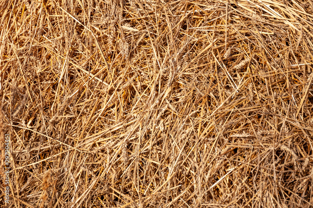 Hay background. Hay in the village closeup texture Hay background. Hay in the village closeup texture