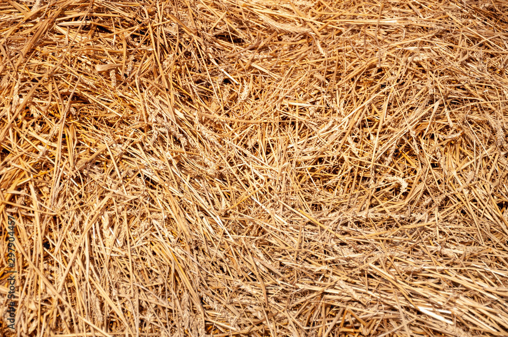 Hay background. Hay in the village closeup texture Hay background. Hay in the village closeup texture