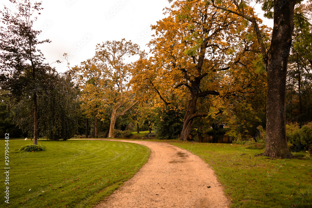 Naklejka premium Autumn in the park