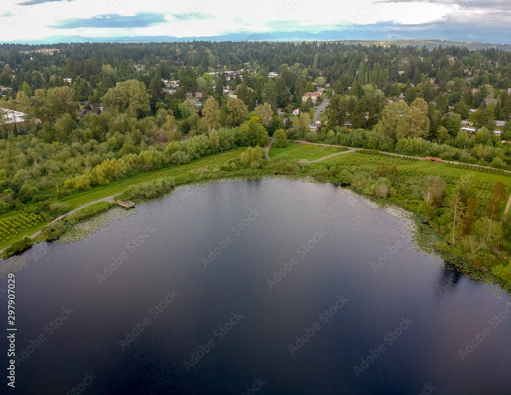 Wonderful aerial photography of Larsen Lake Blueberry Farm. Located in Bellevue Washington.