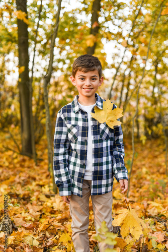 handsome boy collects leaves in forest, autumn background and place for your text. copy space © Uliana