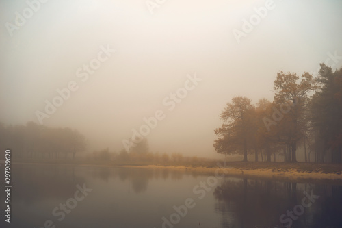 Lake and autumn park in the fog. 