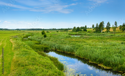 A river, a narrow stream flowing through a field with green grass
