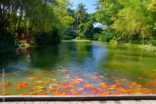 Beautiful botanical garden - Jardin de Deshaies, north west of Basse-Terre, Guadeloupe, Caribbean