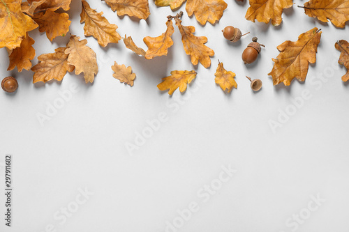 Beautiful composition with autumn leaves on white background, flat lay. Space for text