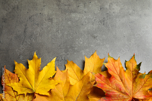 Flat lay composition with autumn leaves on grey stone background. Space for text