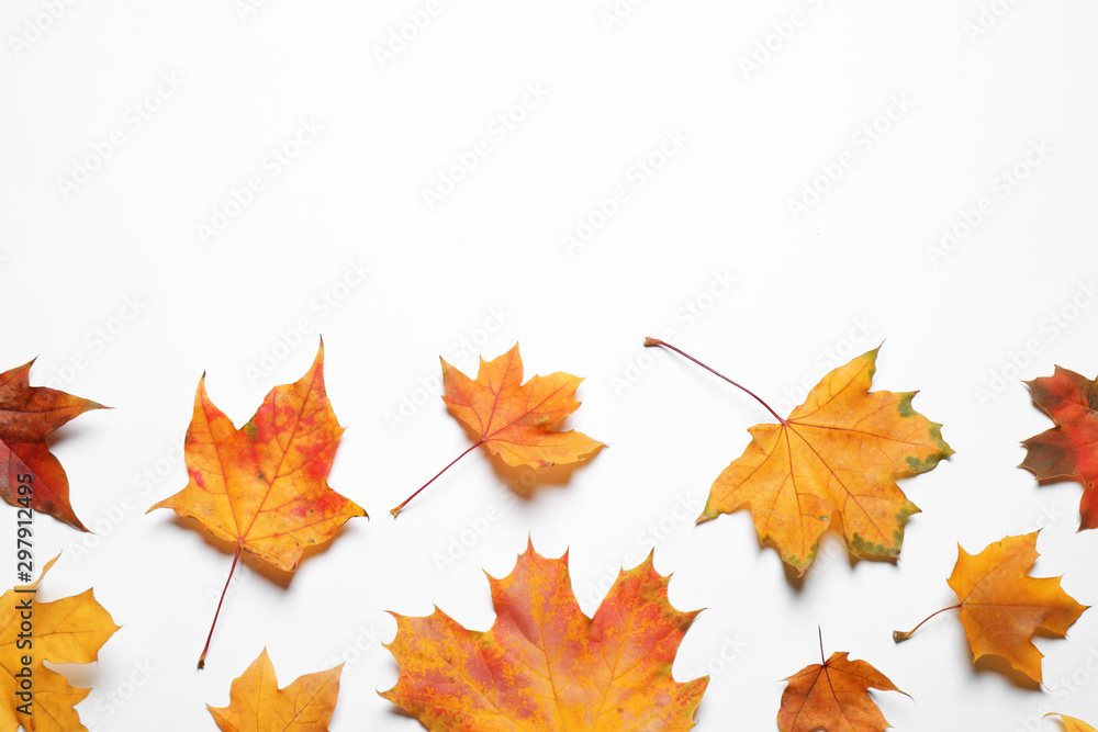 Flat lay composition with autumn leaves on white background. Space for text