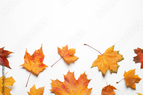 Flat lay composition with autumn leaves on white background. Space for text