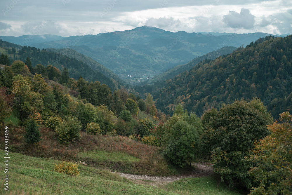 View of the Carpathian slopes