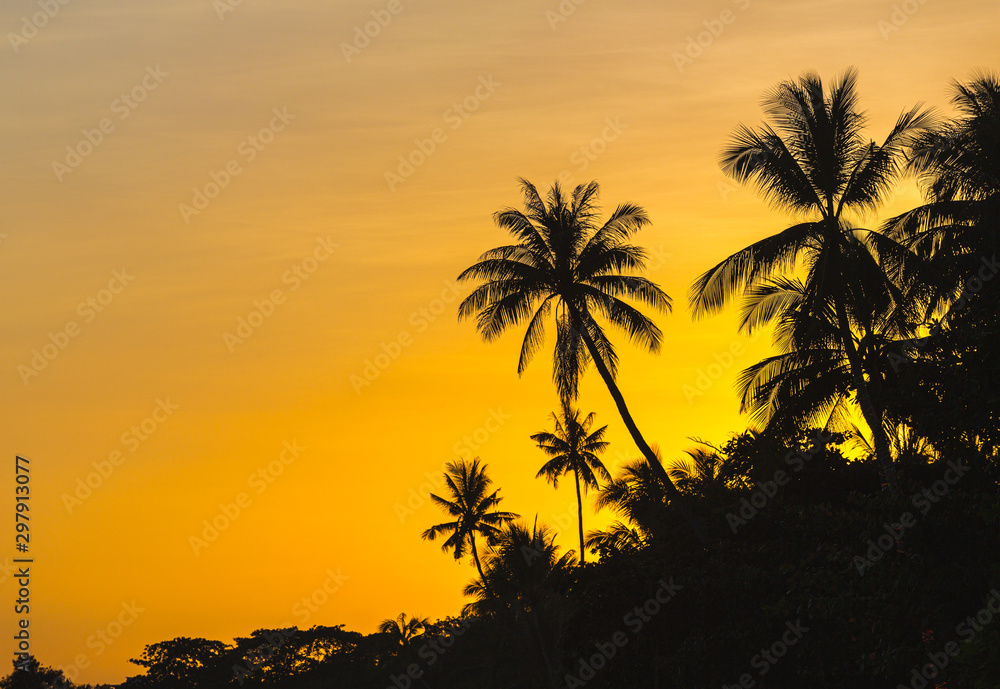 Coucher de soleil et palmiers