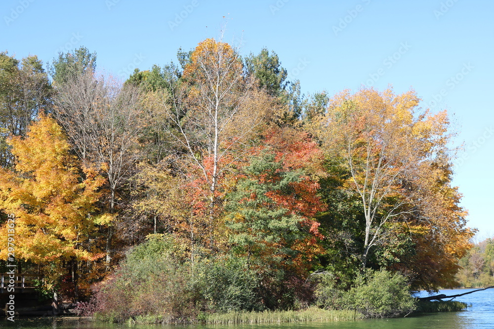 Fototapeta premium Nature