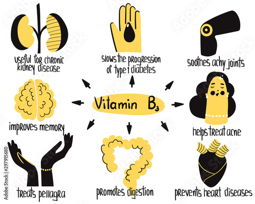 Hand drawn vitamin B3 niacin benefits concept: chronic kidney disease, treats acne, pellagra, improves memory. Vector illustration for pharmalogical or medical poster, brochure, dietary supplement