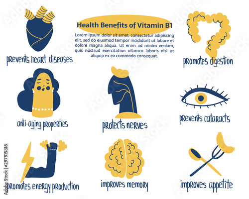 Hand drawn vitamin B1 thiamine benefits: protects nerves and digestion, prevents cataracts, improves appetite and memory. Vector drawing is for pharmalogical or medical brochure, dietary supplement.