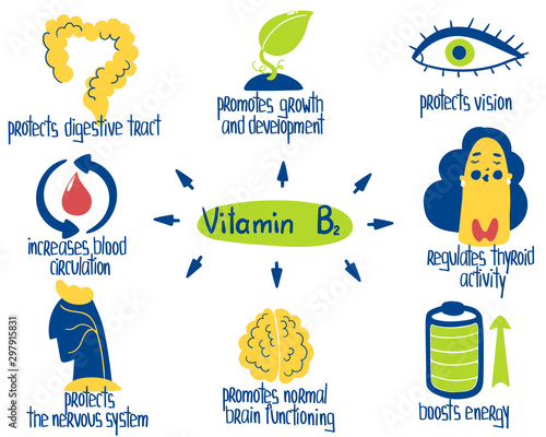 Hand drawn vitamin B2 riboflavin benefits: boosts energy, protects vision, digestive tract, blood circulation. Vector illustration is for pharmalogical or medical poster, brochure, dietary supplement.