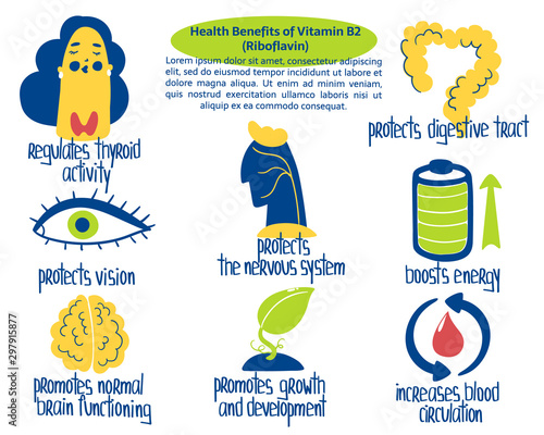 Hand drawn vitamin B2 riboflavin benefits: boosts energy, protects vision, digestive tract, blood circulation. Vector illustration is for pharmalogical or medical poster, brochure, dietary supplement.