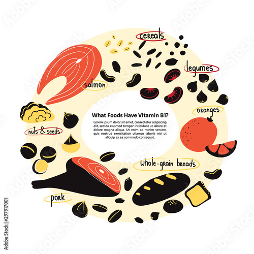 Hand drawn vitamin B1 main food sources: pork, seeds, nuts, oranges, whole-grain breads, legumes. Vector illustration is for pharmalogical or medical poster, flyer, dietary supplement.
