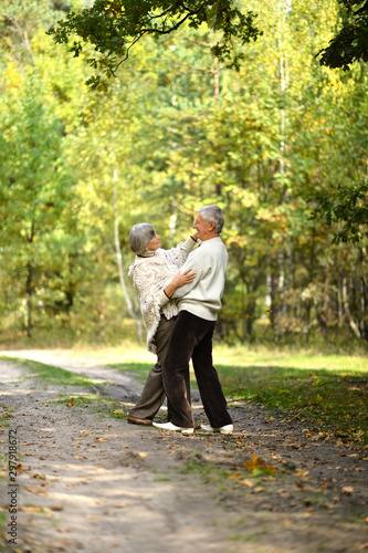 Portrait of a senior couple dancing in autumn forest © aletia2011
