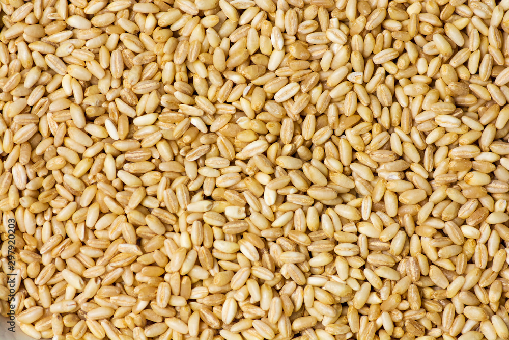 Wheat grains background pattern Wheat grains background pattern