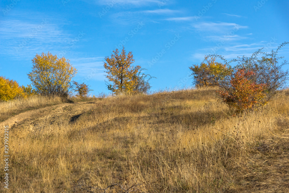 Autumn panorama of Cherna Gora mountain, Bulgaria