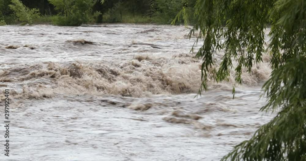 Strong brown turbulent river, with waves and foam. Trush and brunches floating throught current. Flood in Mina Clavero. At first plane tree brunches, woods at background. Cordoba, Argentina Strong brown turbulent river, with waves and foam. Trush and brunches floating throught current. Flood in Mina Clavero. At first plane tree brunches, woods at background. Cordoba, Argentina