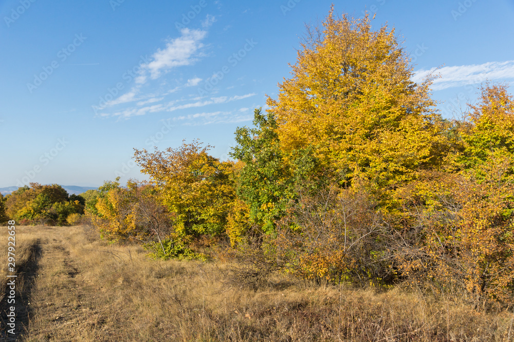 Autumn panorama of Cherna Gora mountain, Bulgaria Autumn panorama of Cherna Gora mountain, Bulgaria