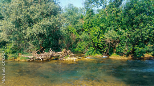 River in the deep forest. Mreznica river near Duga Resa. Croatia.