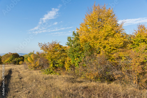 Autumn panorama of Cherna Gora mountain, Bulgaria