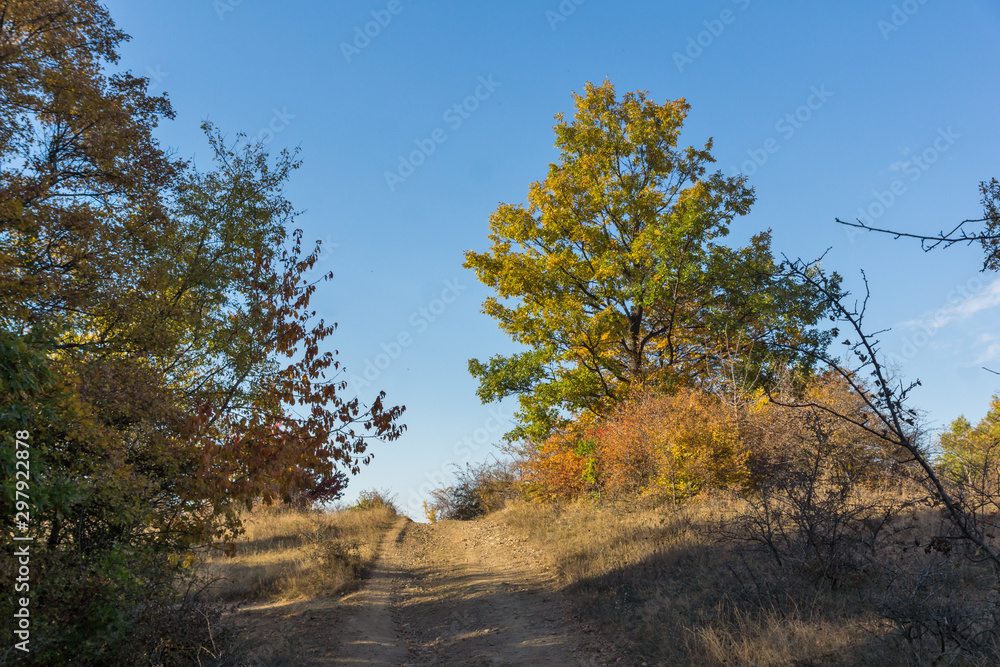 Autumn panorama of Cherna Gora mountain, Bulgaria Autumn panorama of Cherna Gora mountain, Bulgaria