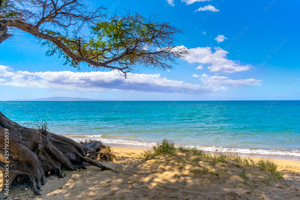 Relaxing beaching in Kihei, Hawaii on the island of Maui